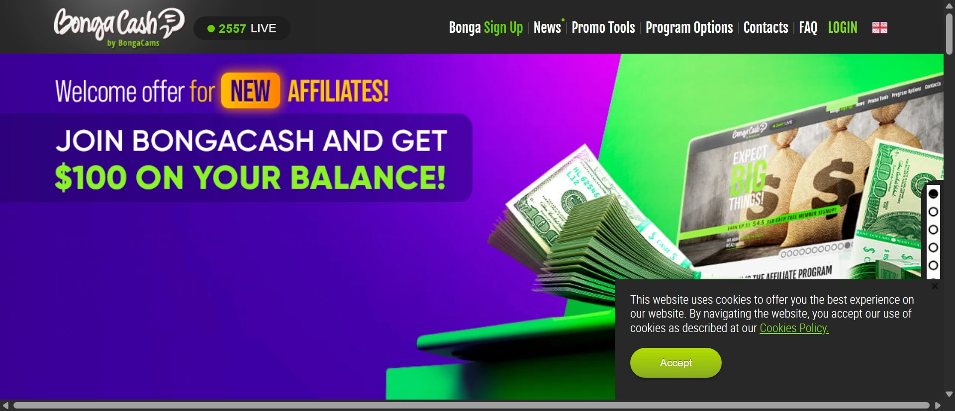 BongaCash screenshot