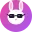 BunnyIPCam