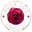RoseToyOfficial