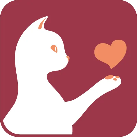 BeYourLover Sex Toys