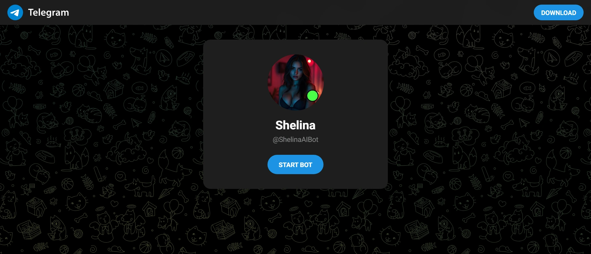 Shelina AI screenshot