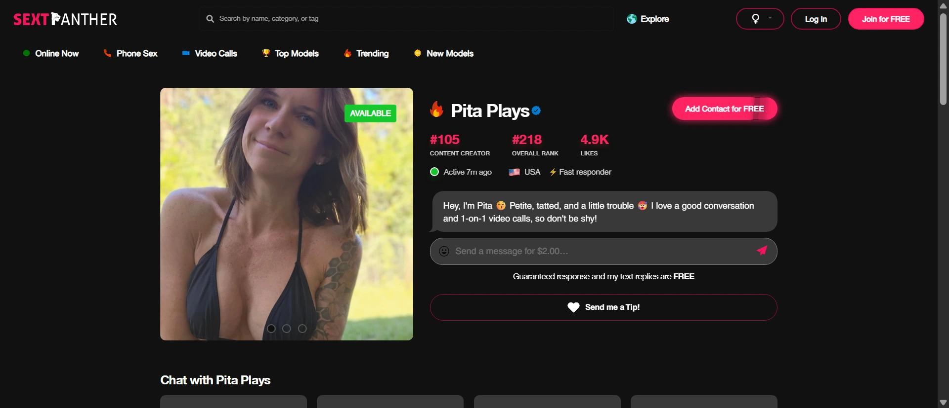 Pita Plays screenshot