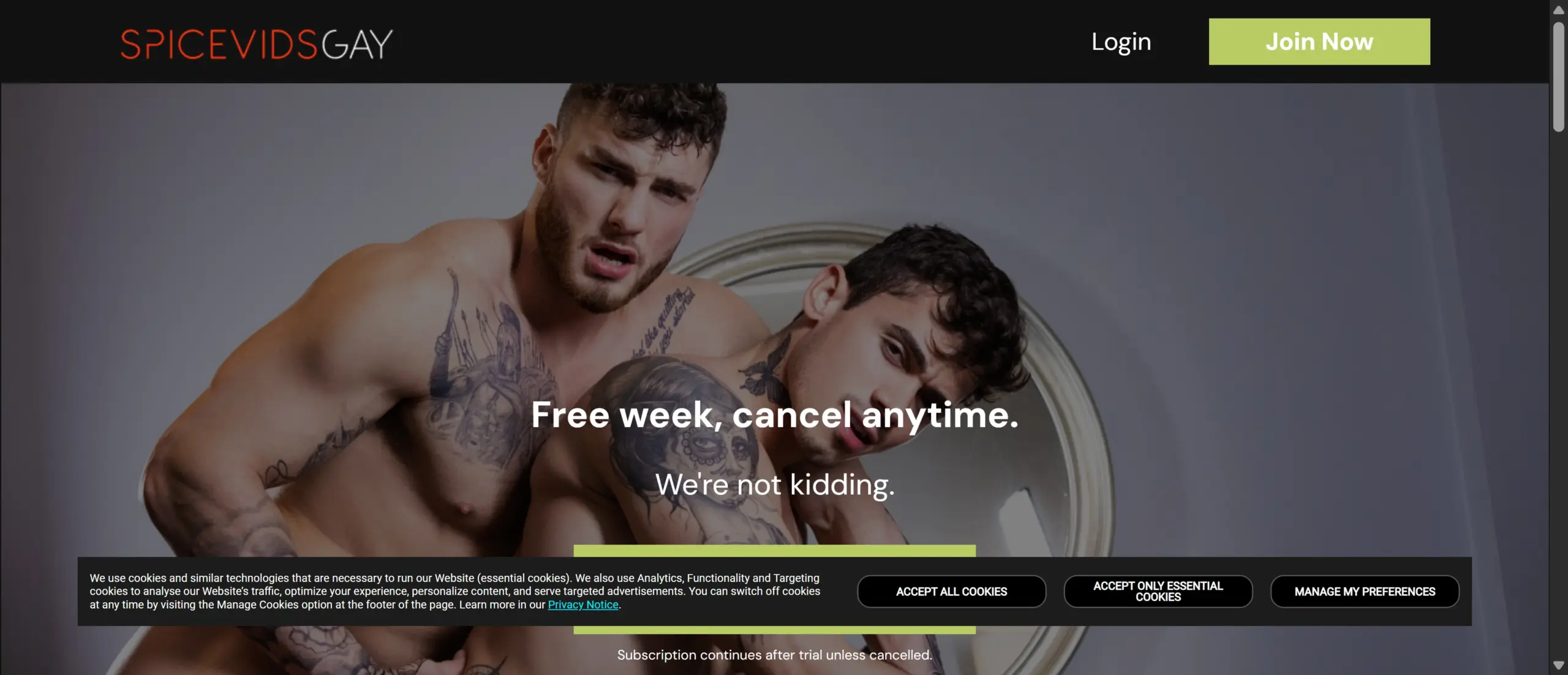 SpicevidsGay screenshot