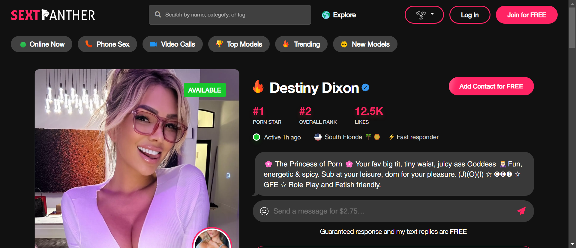 Destiny Dixon screenshot