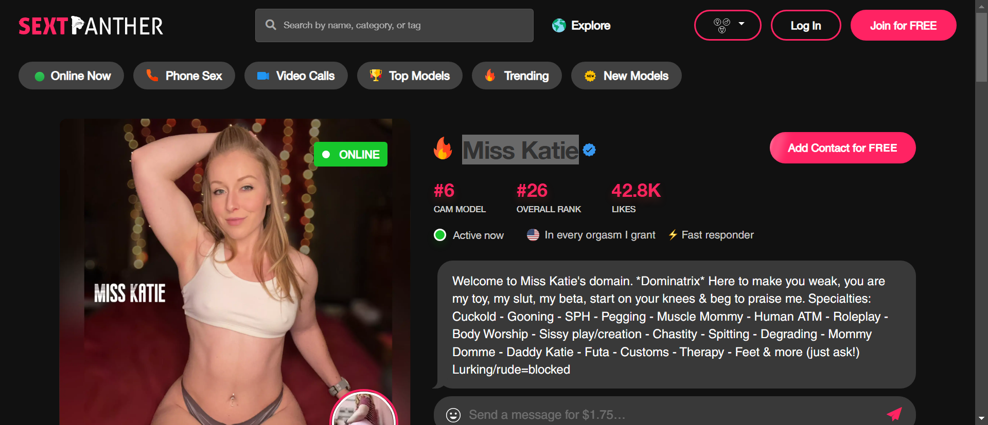 Miss Katie screenshot