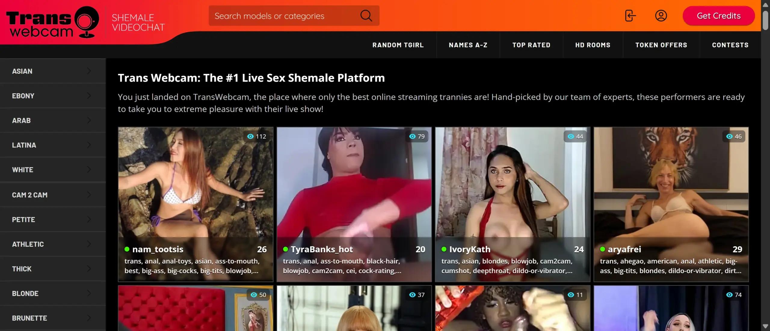 Trans Webcam screenshot
